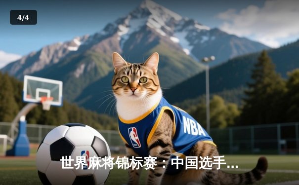 世界麻将锦标赛：中国选手王昊决赛逆转夺冠，日本名将惜败 - 4