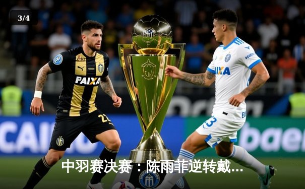 中羽赛决赛：陈雨菲逆转戴资颖夺冠，国羽女单再添荣耀 - 3